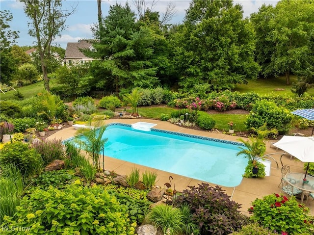 1902 Hollythorne Rd NE, Canton, OH 44721 - photo 8