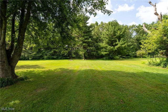 46125 Middle Ridge Rd, Amherst, OH 44001 - photo 32