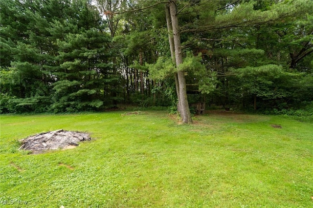 46125 Middle Ridge Rd, Amherst, OH 44001 - photo 33