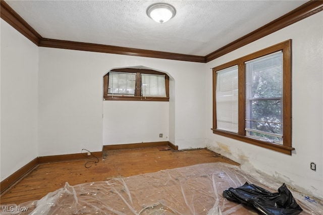 802 Orlando Ave, Akron, OH 44320 - photo 7
