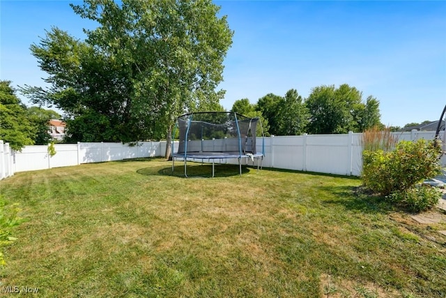 808 Bearing Ct, Amherst, OH 44001 - photo 48
