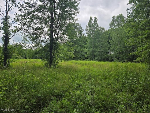 VL Parsons Rd, Grafton, OH 44044 - photo 1