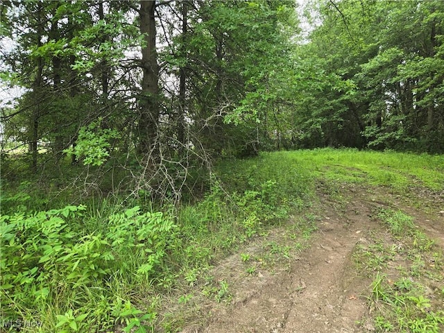 VL Parsons Rd, Grafton, OH 44044 - photo 2