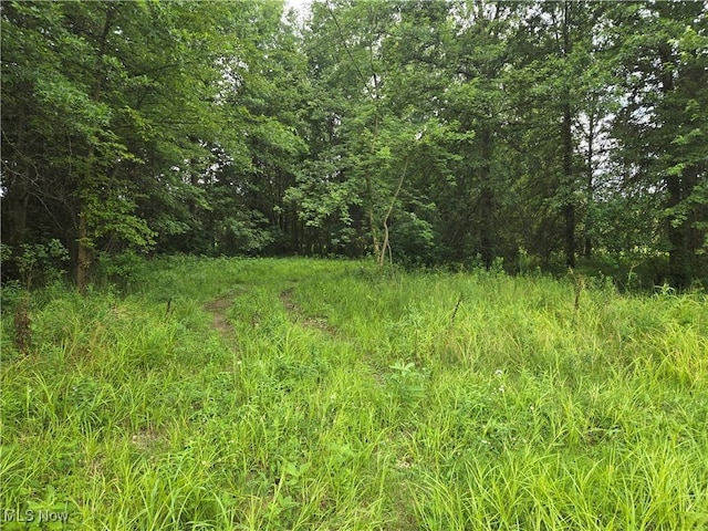 VL Parsons Rd, Grafton, OH 44044 - photo 3