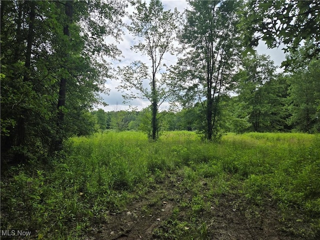 VL Parsons Rd, Grafton, OH 44044 - photo 4