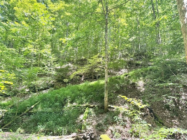 1588 Crummies Creek Rd, Arnoldsburg, WV 25234 - photo 14