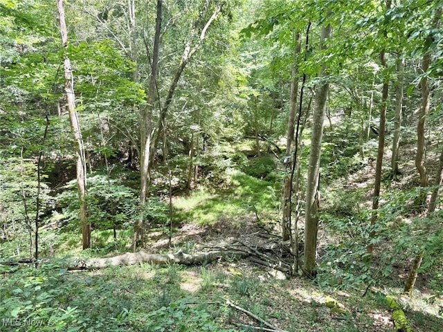 1588 Crummies Creek Rd, Arnoldsburg, WV 25234 - photo 15