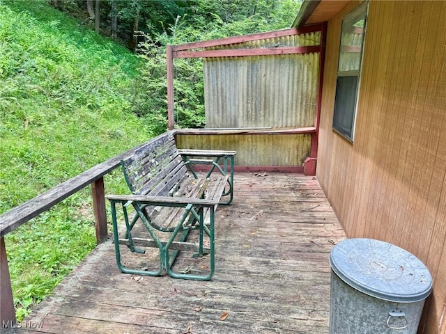 1588 Crummies Creek Rd, Arnoldsburg, WV 25234 - photo 30