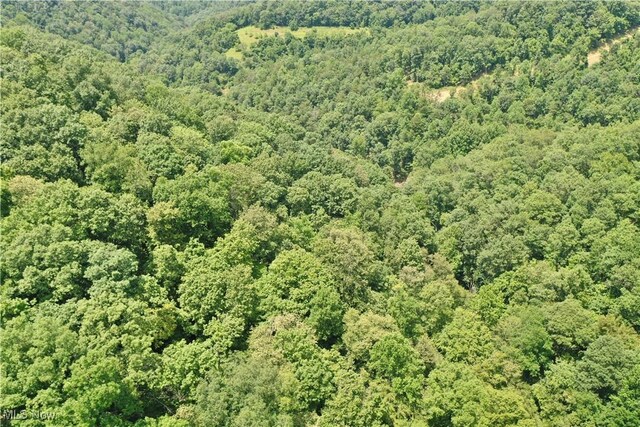 1588 Crummies Creek Rd, Arnoldsburg, WV 25234 - photo 6