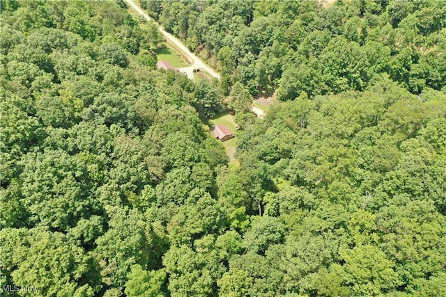 1588 Crummies Creek Rd, Arnoldsburg, WV 25234 - photo 9