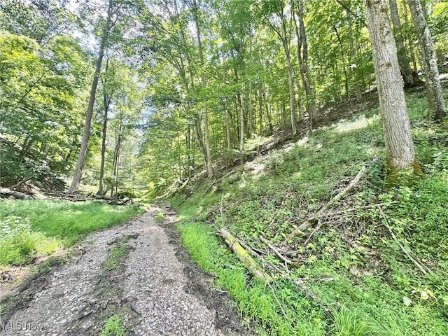 1588 Crummies Creek Rd, Arnoldsburg, WV 25234 - photo 1