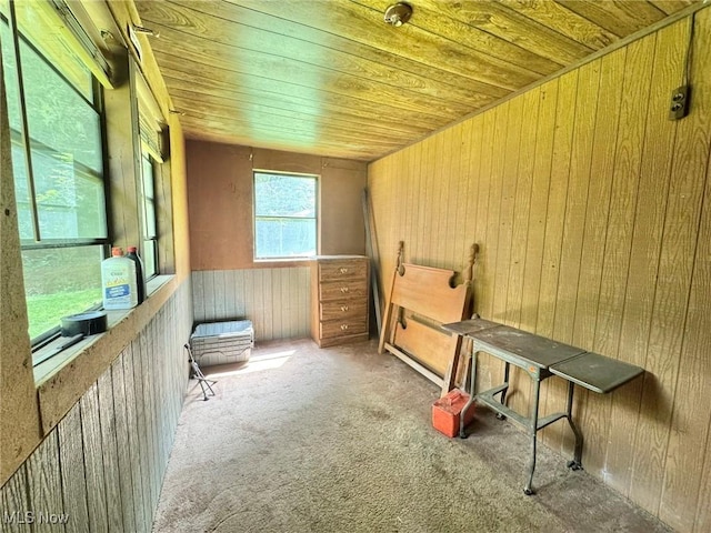 1588 Crummies Creek Rd, Arnoldsburg, WV 25234 - photo 33