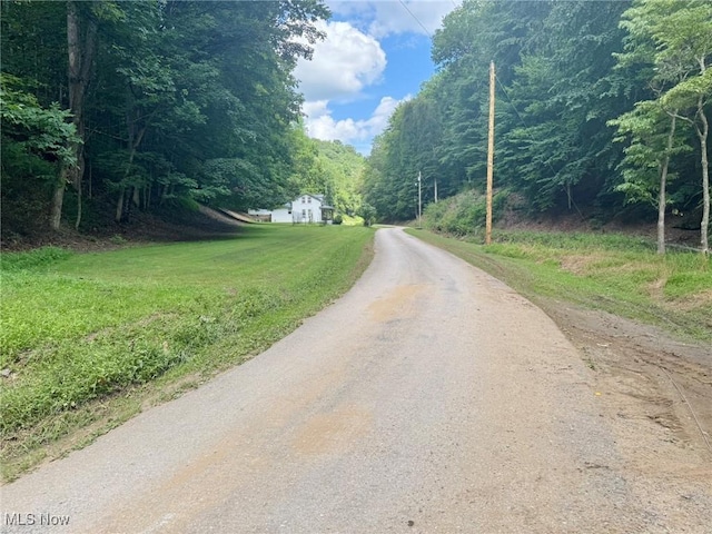 1588 Crummies Creek Rd, Arnoldsburg, WV 25234 - photo 41