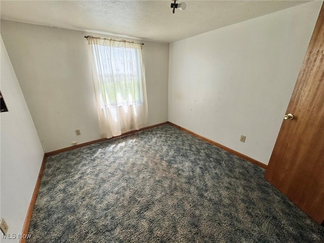 1588 Crummies Creek Rd, Arnoldsburg, WV 25234 - photo 36
