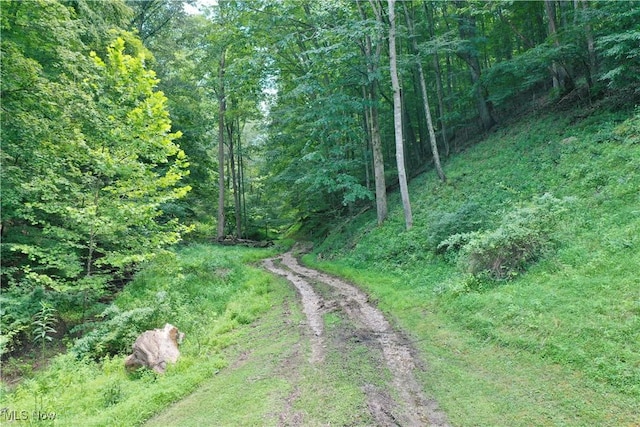 1588 Crummies Creek Rd, Arnoldsburg, WV 25234 - photo 2