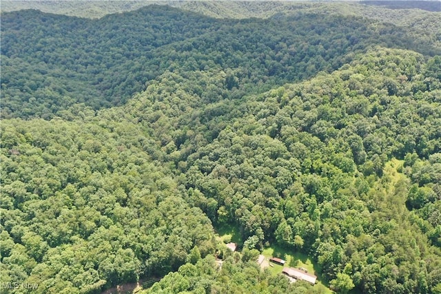 1588 Crummies Creek Rd, Arnoldsburg, WV 25234 - photo 3