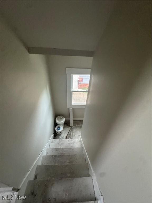 13715 Thornhurst Ave, Garfield Heights, OH 44105 - photo 29
