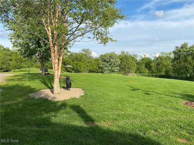 1218 S Honeytown Rd, Wooster, OH 44691 - photo 10
