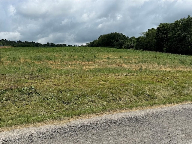 Dunker Rd, Baltic, OH 43804 - photo 1
