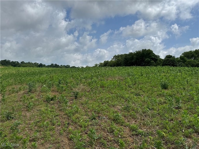 Dunker Rd, Baltic, OH 43804 - photo 4