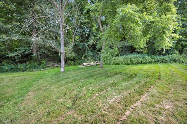 7750 Saxon Dr, Kirtland, OH 44094 - photo 26