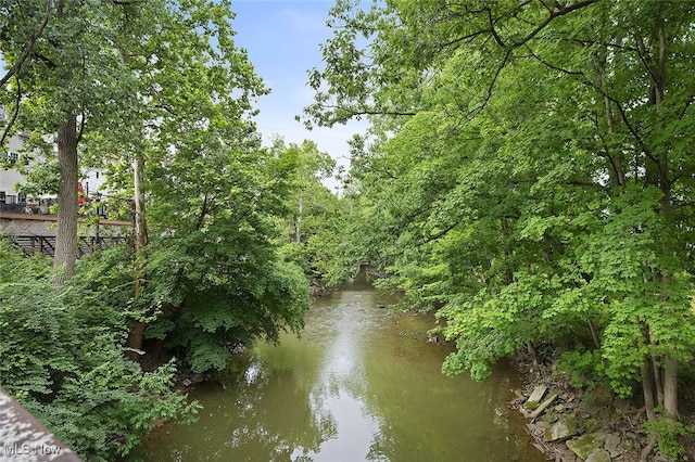 51 Riverside Dr, Berea, OH 44017 - photo 39