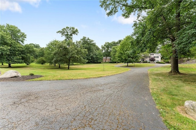 2450 Larchmoor Pkwy NW, Canton, OH 44708 - photo 46