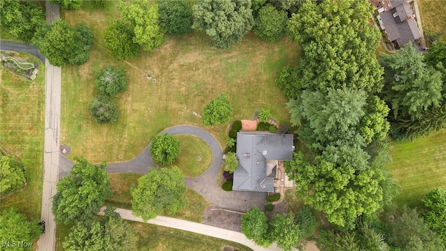 2450 Larchmoor Pkwy NW, Canton, OH 44708 - photo 47