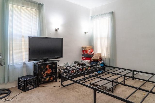 1516 E 118th St, Cleveland, OH 44106 - photo 13
