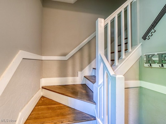 373 Windsor Dr, Elyria, OH 44035 - photo 14
