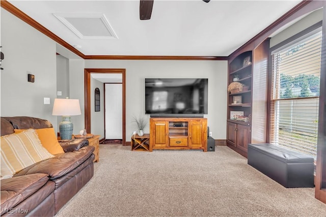 1306 N Lincoln Ave, Salem, OH 44460 - photo 27