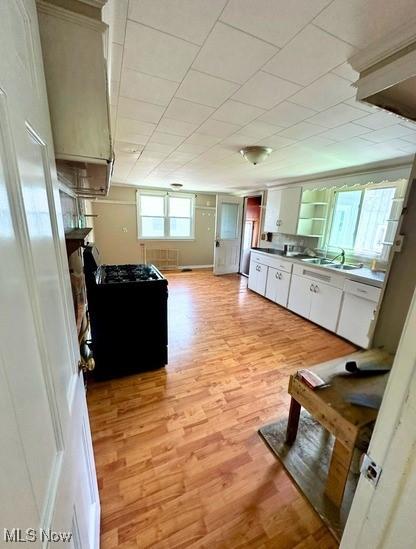 516 W Main St, Geneva, OH 44041 - photo 4