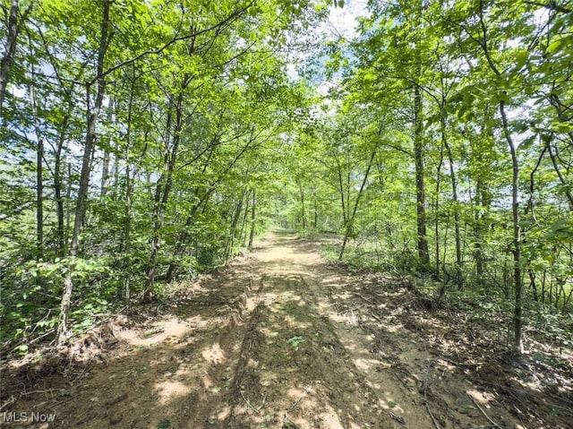 0 Gun Club Rd, Athens, OH 45701 - photo 29