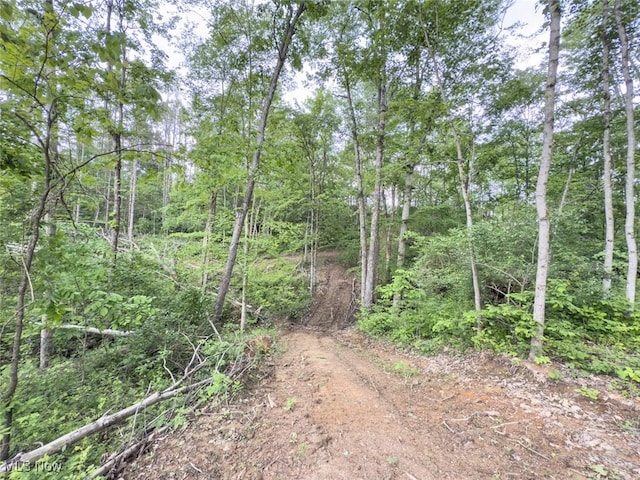 0 Gun Club Rd, Athens, OH 45701 - photo 33