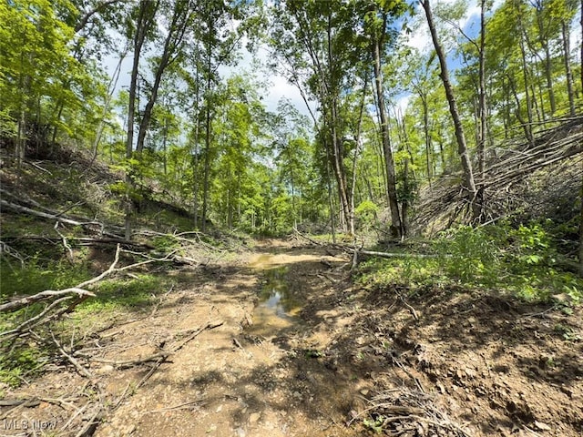 0 Gun Club Rd, Athens, OH 45701 - photo 34