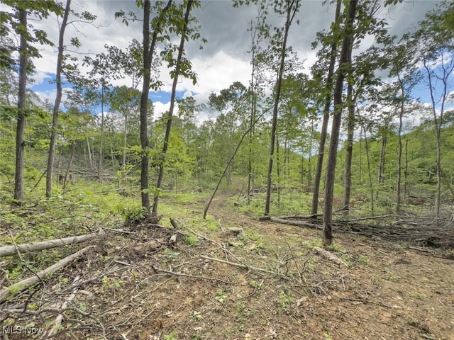 0 Gun Club Rd, Athens, OH 45701 - photo 35