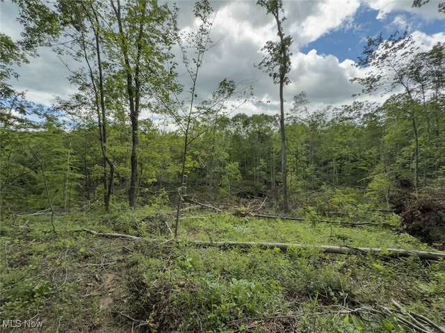 0 Gun Club Rd, Athens, OH 45701 - photo 36