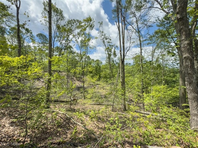 0 Gun Club Rd, Athens, OH 45701 - photo 38