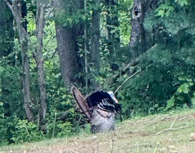 0 Gun Club Rd, Athens, OH 45701 - photo 41