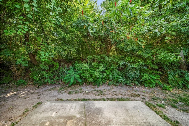 820 N Creek Dr, Painesville, OH 44077 - photo 9