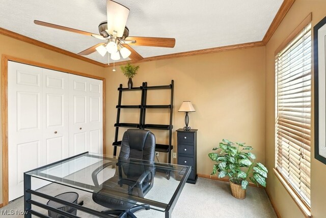 37088 Minott Ct, North Ridgeville, OH 44039 - photo 24