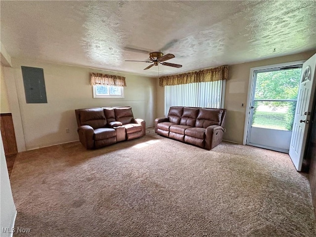 3828 Grafton Rd, Brunswick, OH 44212 - photo 3