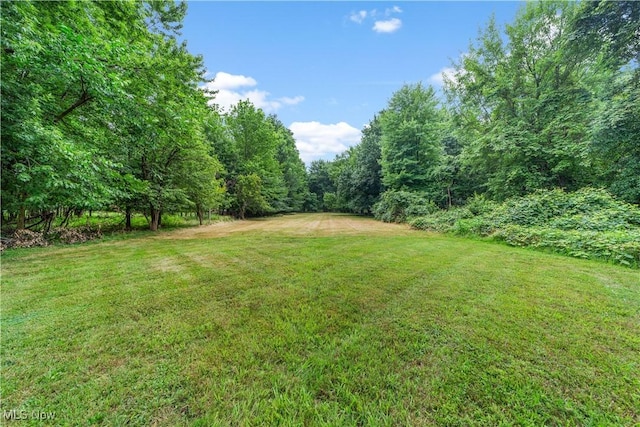 25982 Highland Rd, Richmond Heights, OH 44143 - photo 41