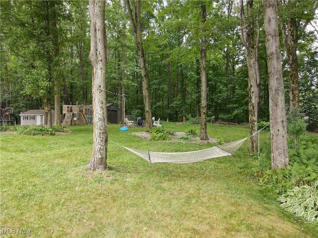 4855 Forest Glen Trl, Ravenna, OH 44266 - photo 11