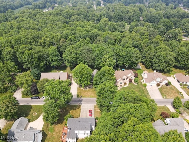 4855 Forest Glen Trl, Ravenna, OH 44266 - photo 15