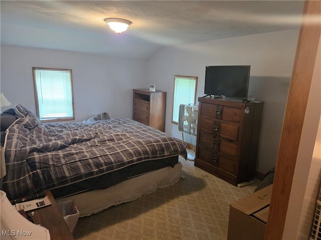 252 Johns St, Wellington, OH 44090 - photo 8