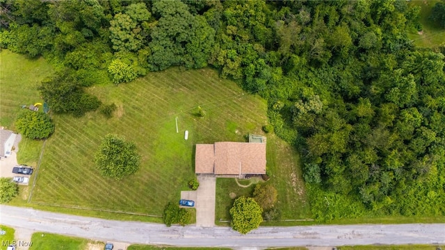 55201 New Cut Rd, Shadyside, OH 43947 - photo 9