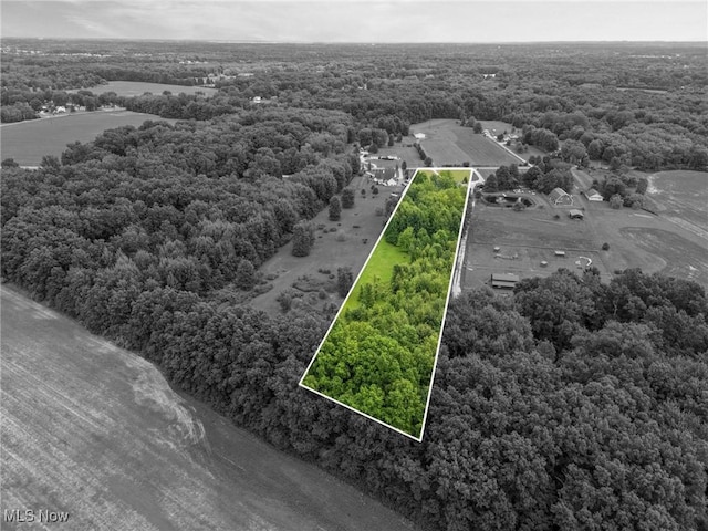 11972 Root Rd, Columbia Station, OH 44028 - photo 50