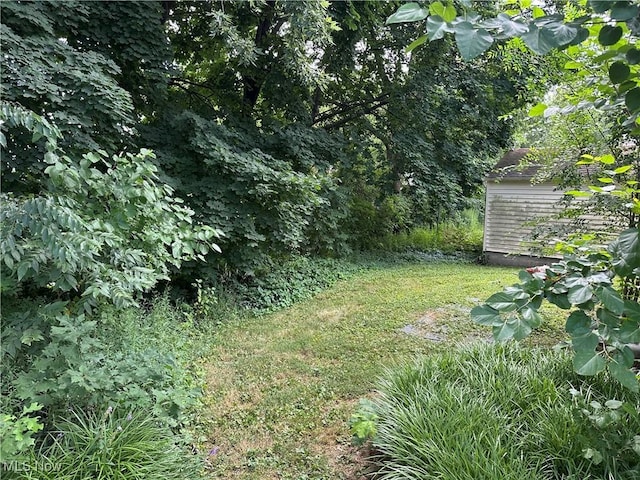 1575 Highview Ave, Akron, OH 44301 - photo 4