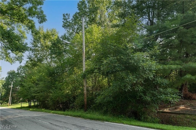 Pinewood Dr, Youngstown, OH 44512 - photo 1